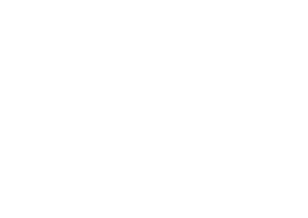 Markenlogo-Suzuki-weiß-200pxh