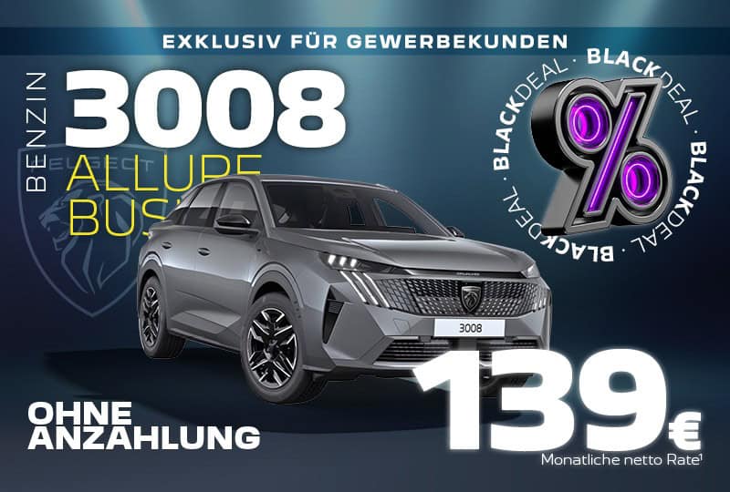 Peugeot 3008 Gewerbe Teaser