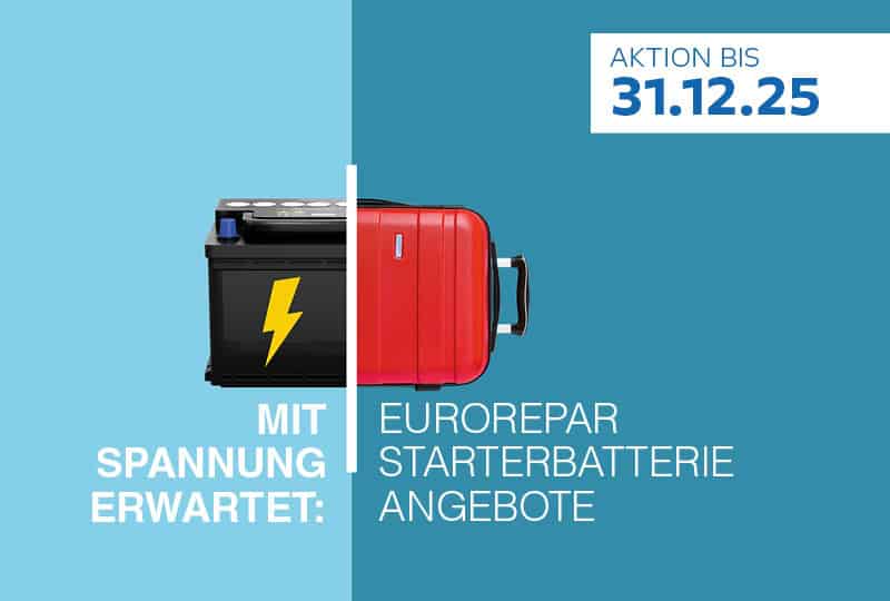 Batterieaktion Fiat 2025