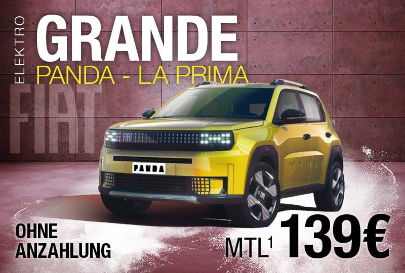 Teaser Grande Panda