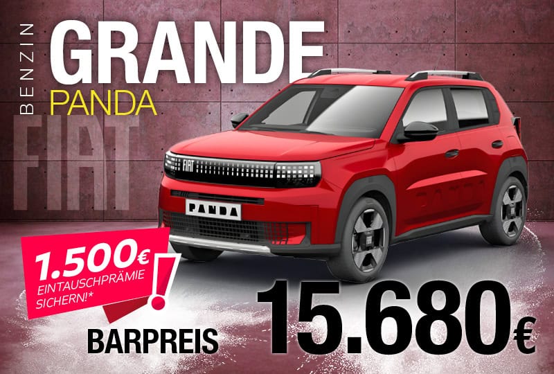 Fahrzeugangebote Teaser Grande Panda Benzin