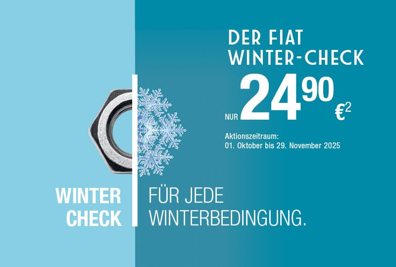 Teaser WinterAktion2