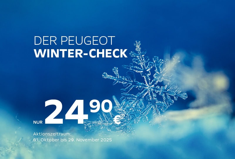 Teaser WinterAktion3