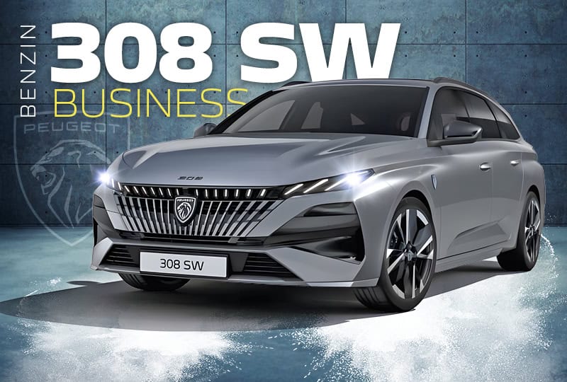 Teaser 308SW