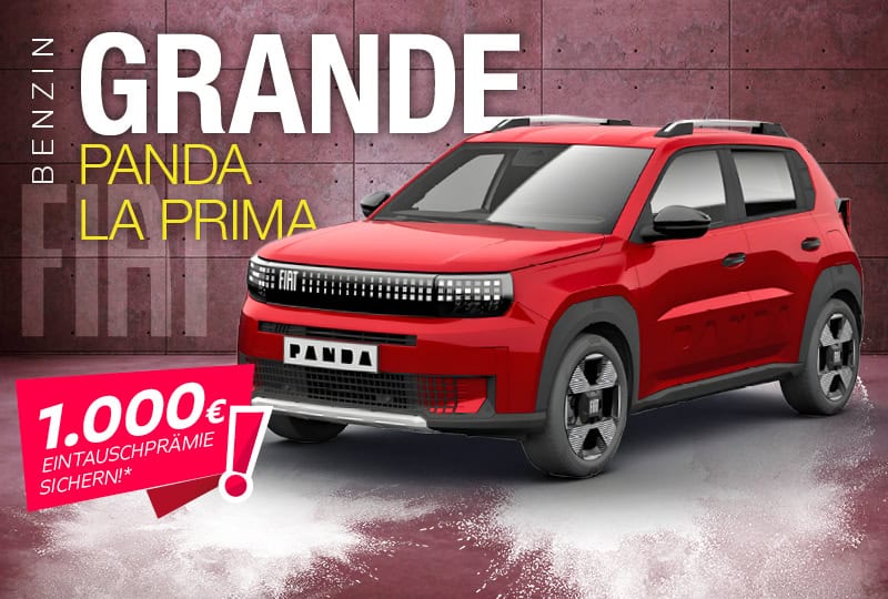 Fahrzeugangebote Teaser Grande Panda Benzin