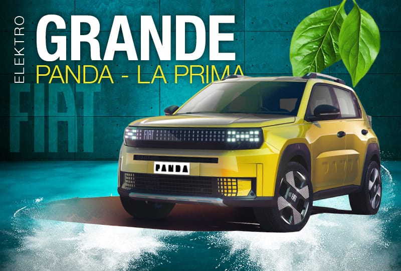Teaser Grande Panda